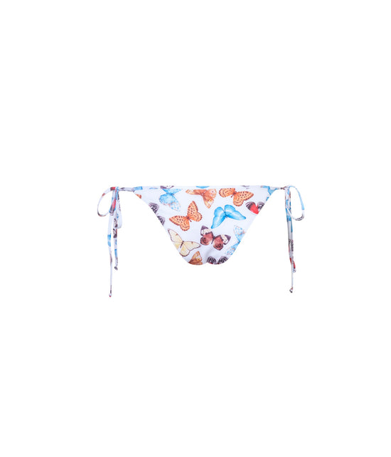 Verdelimon - Bottom - Bauta - Butterflies - Back