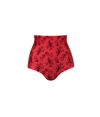 Verdelimon - Bikini Bottom - Tottori - Printed - Pink Corals - Front